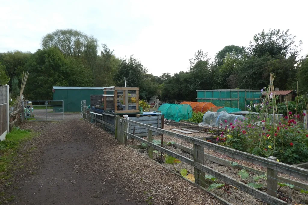 Hempland Lane Allotments in Heworth. The community wildlife area sits on the allotment site; the picture does not show the wildlife area itself
