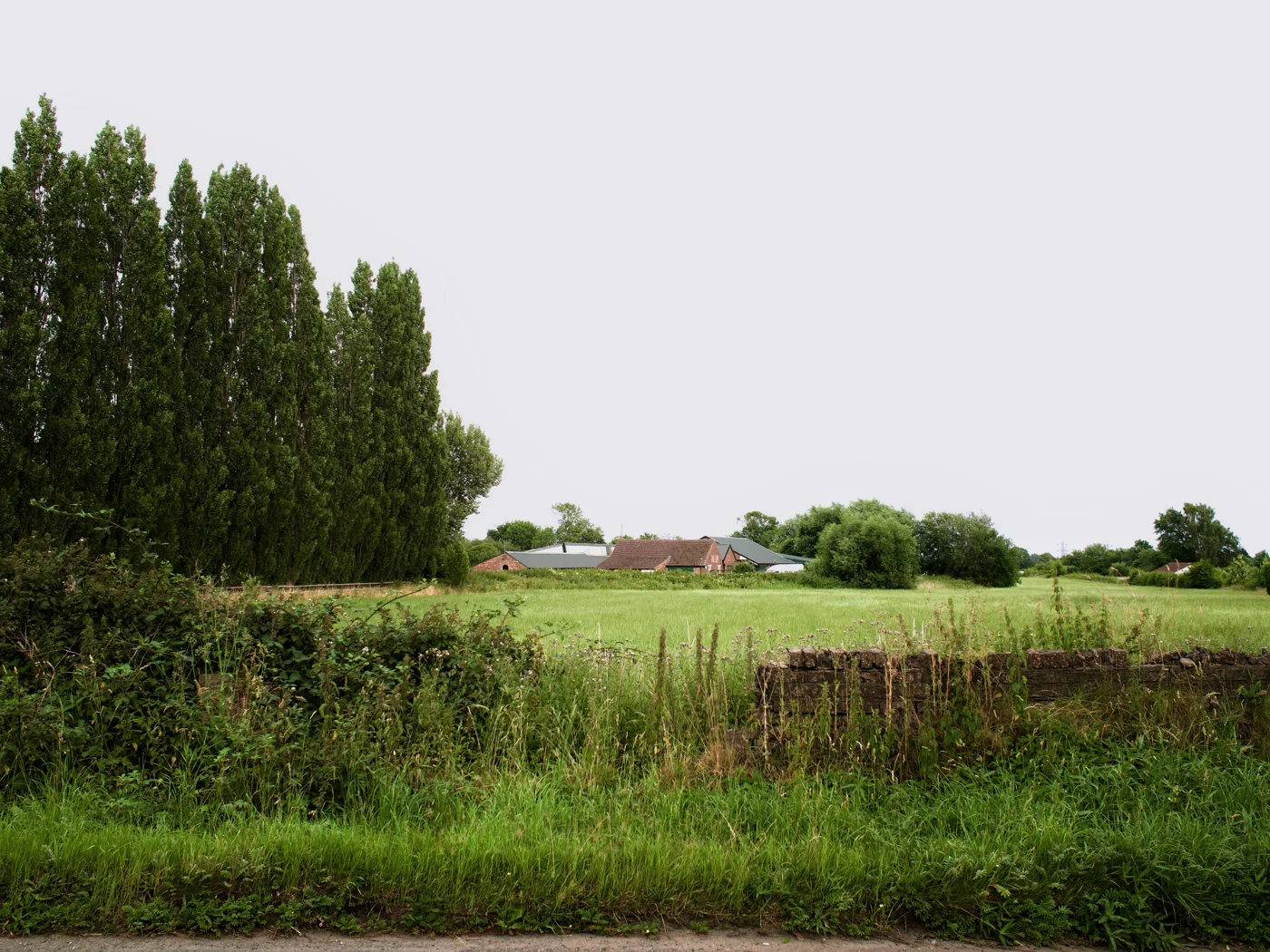 Land south of Sugar Hill Farm, off Stockton Lane, photographed in June 2026